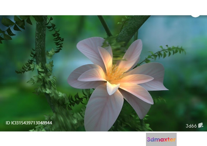 A White Flower 3D Model - 6468 - VRAY Render
