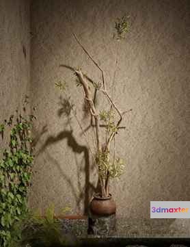A Clay Vase 3D Model - 3072 - VRAY Render
