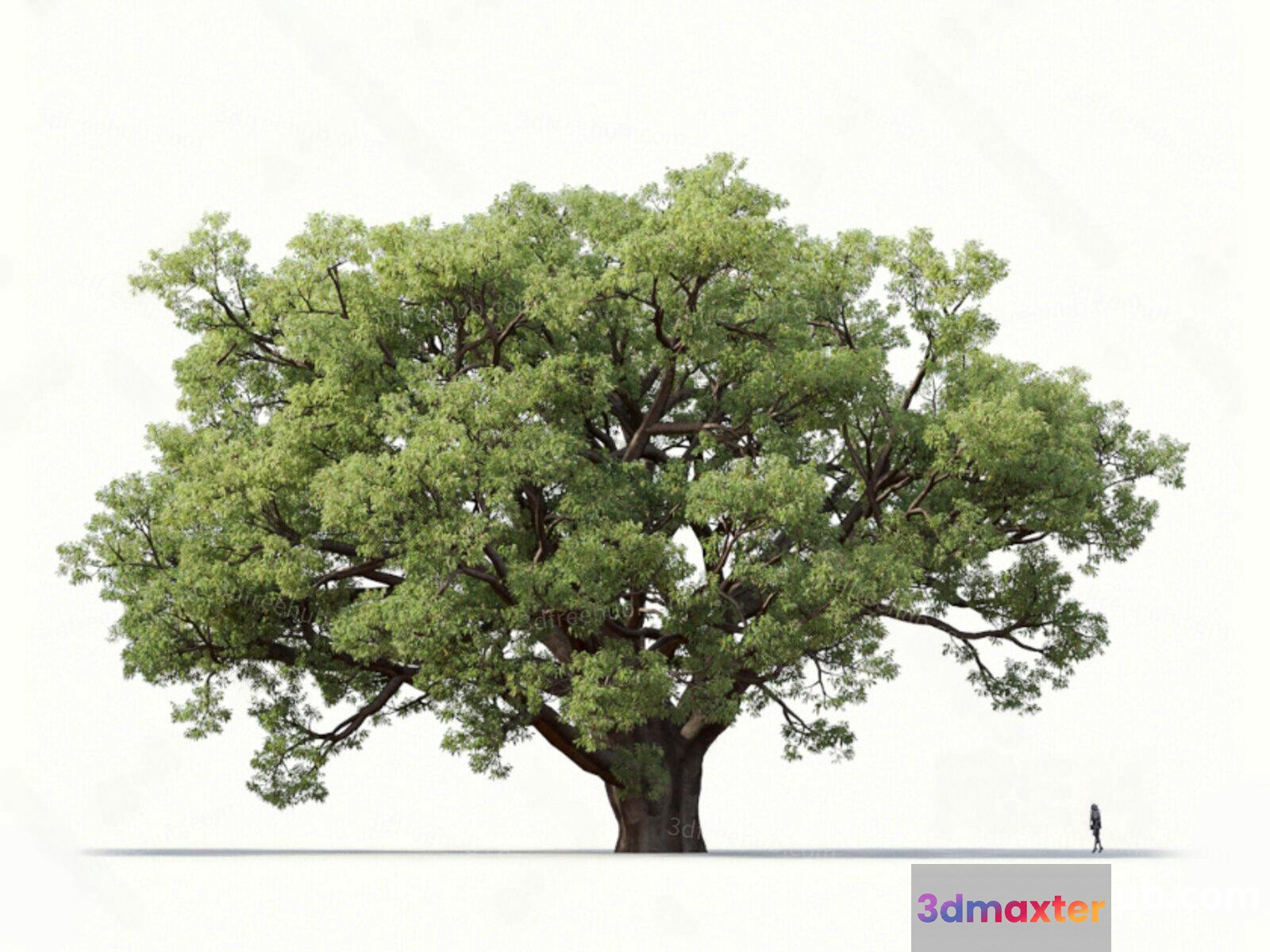 A Large Tree With Green Leaves 3D Model - 18718 - VRAY Render