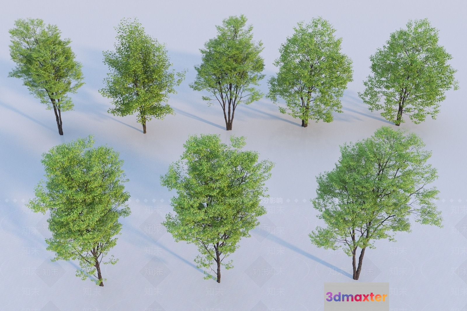 Trees With Green Leaves 3D Model - 11566 - VRAY Render