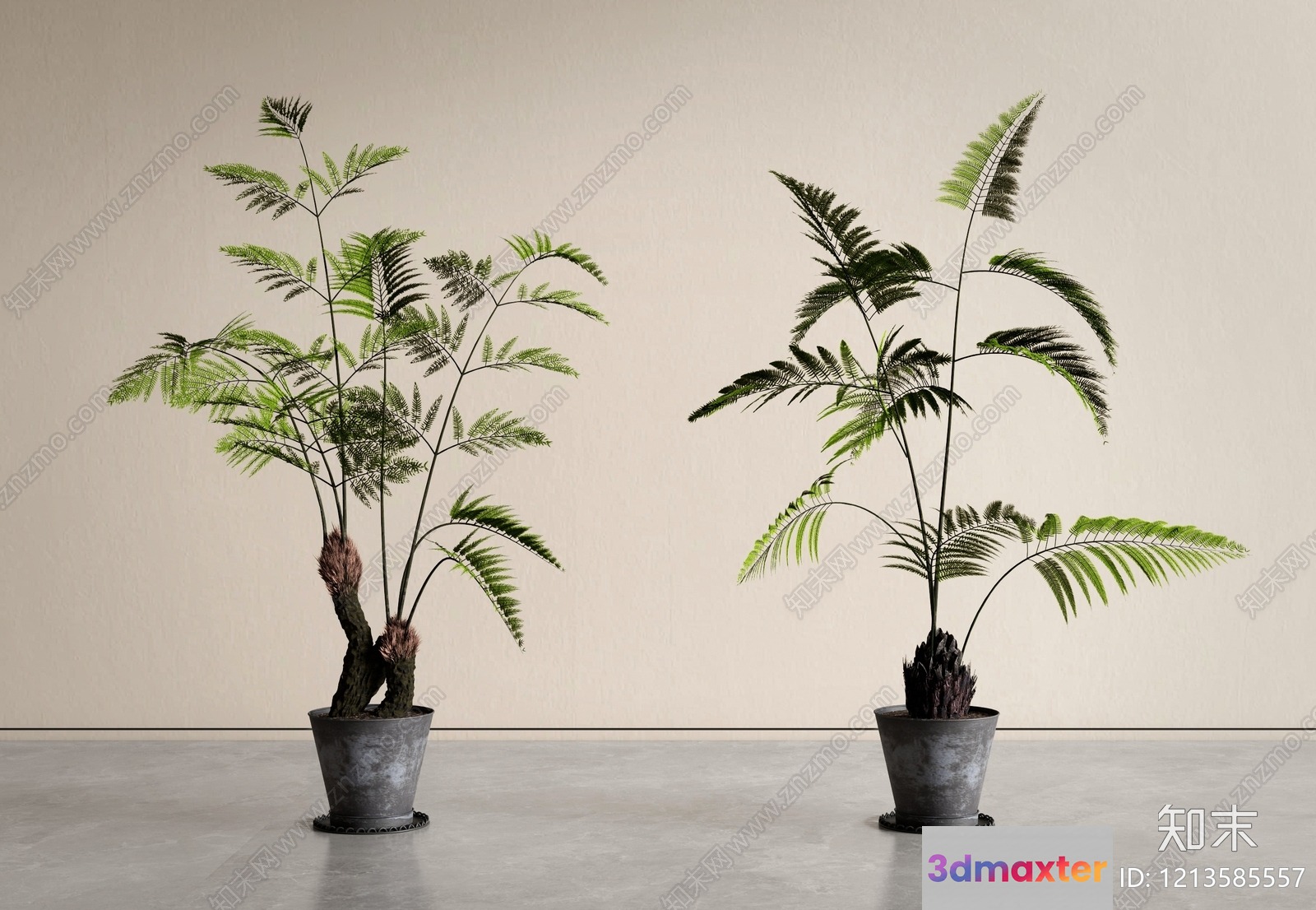 Two Potted Plants 3D Model - 16076 - VRAY Render