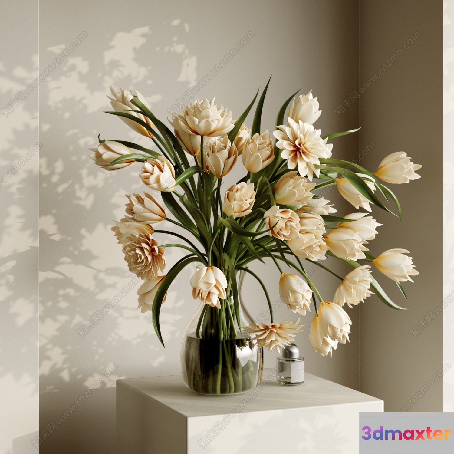 A Vase Of White Flowers 3D Model - 12791 - VRAY Render