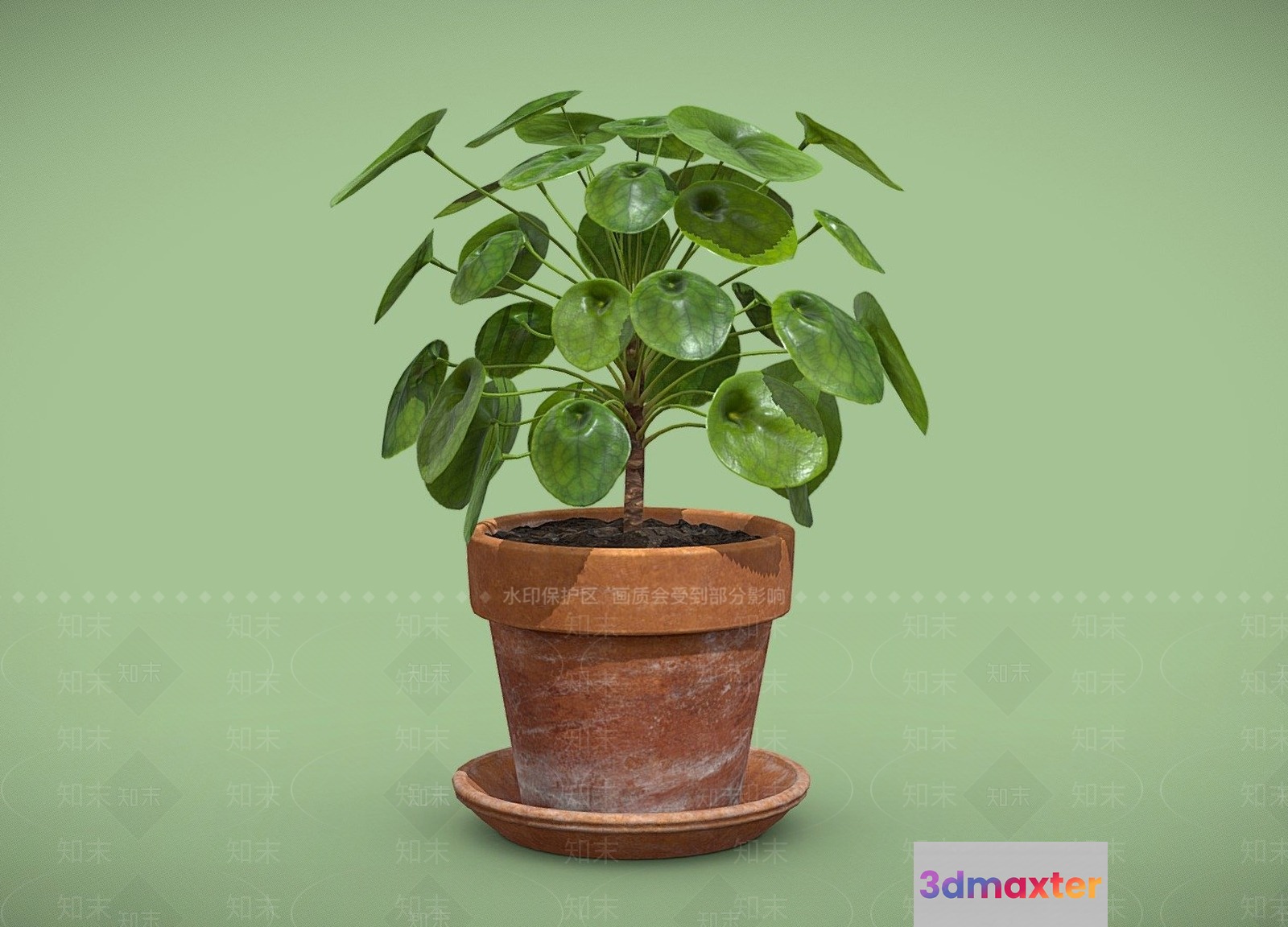 A Potted Plant 3D Model - 1986 - VRAY Render