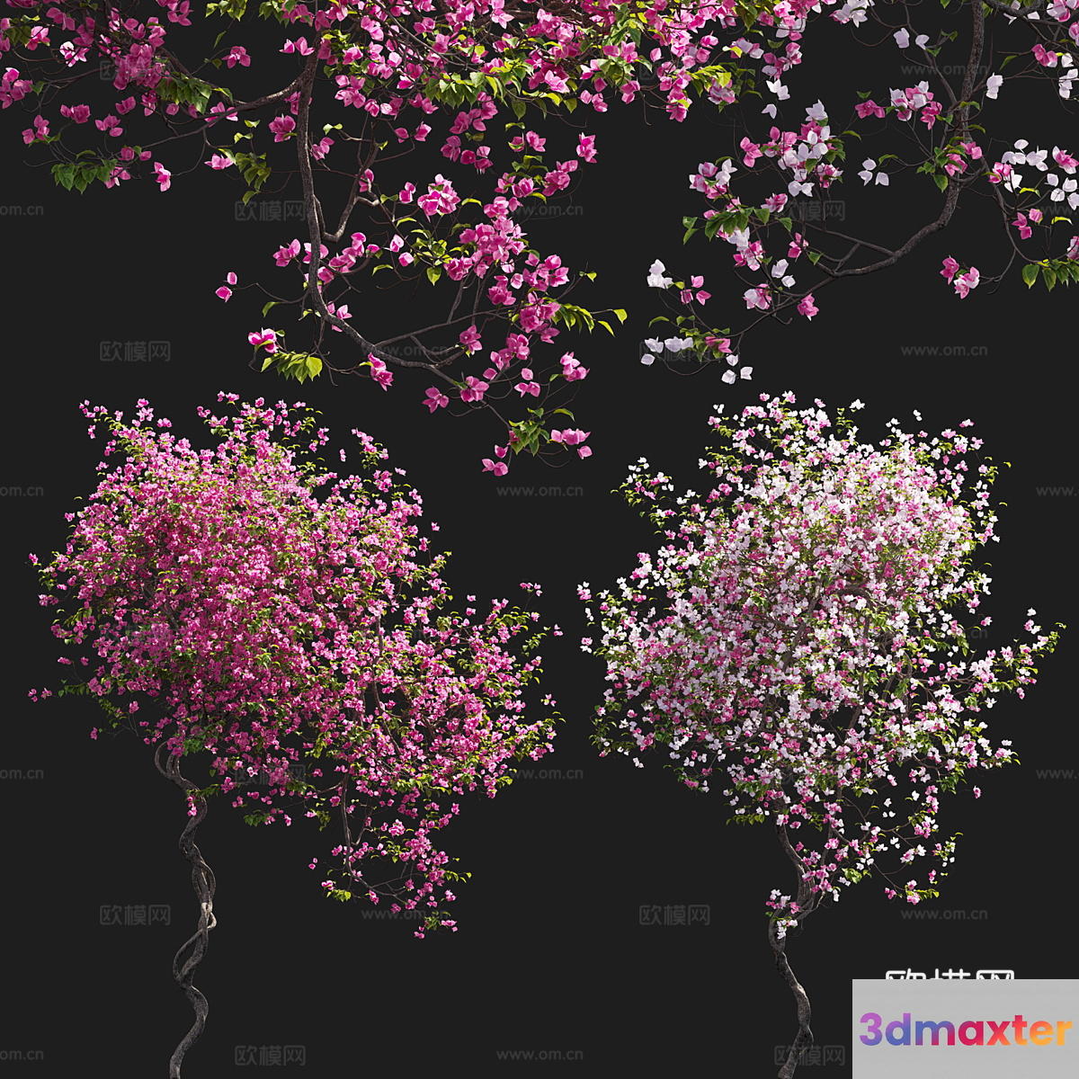 A Tree With Pink Flowers 3D Model - 17089 - VRAY Render