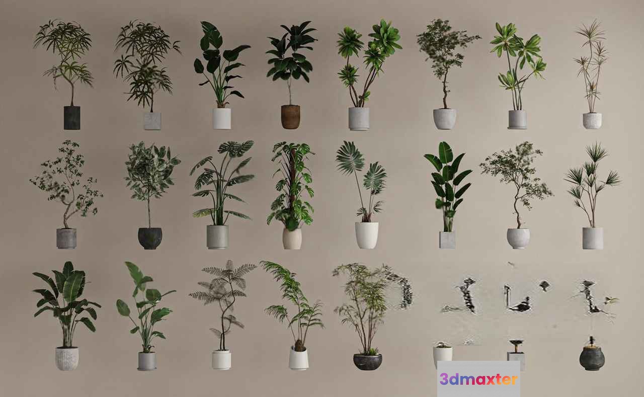 Plants In Pots 3D Model - 12408 - VRAY Render