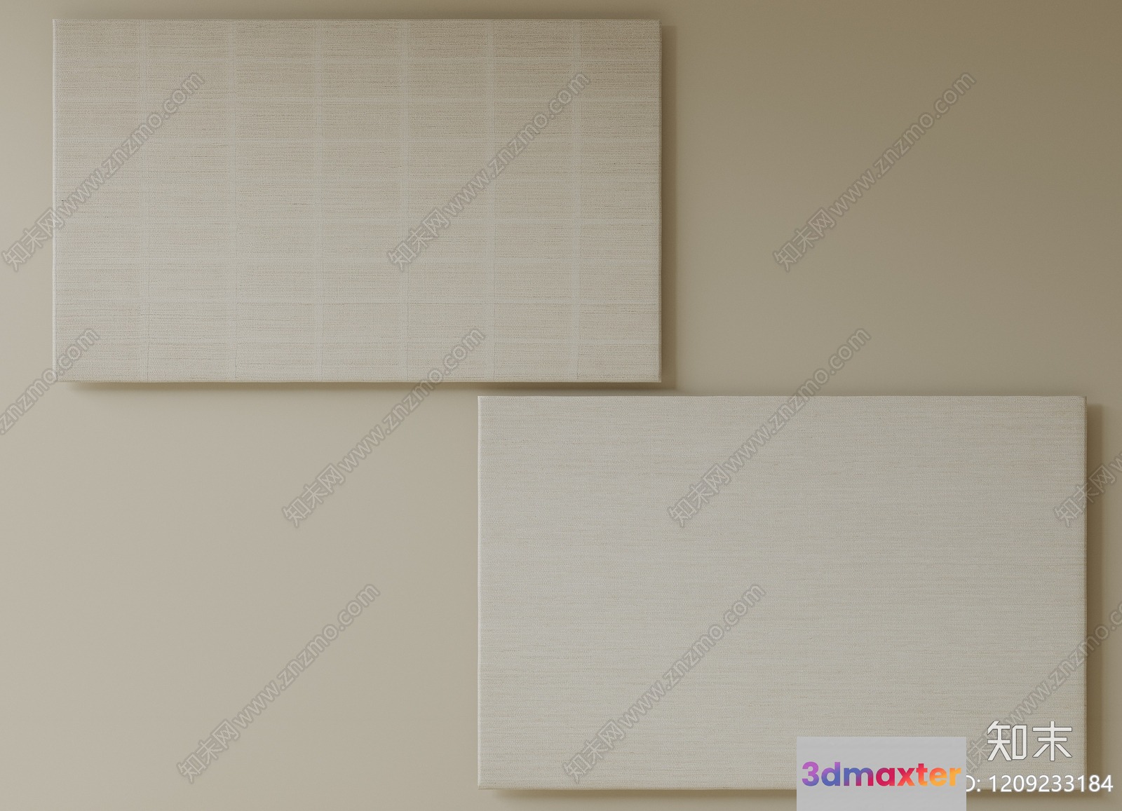 Two Blank Canvases On A Wall 3D Model - 15496 - VRAY Render