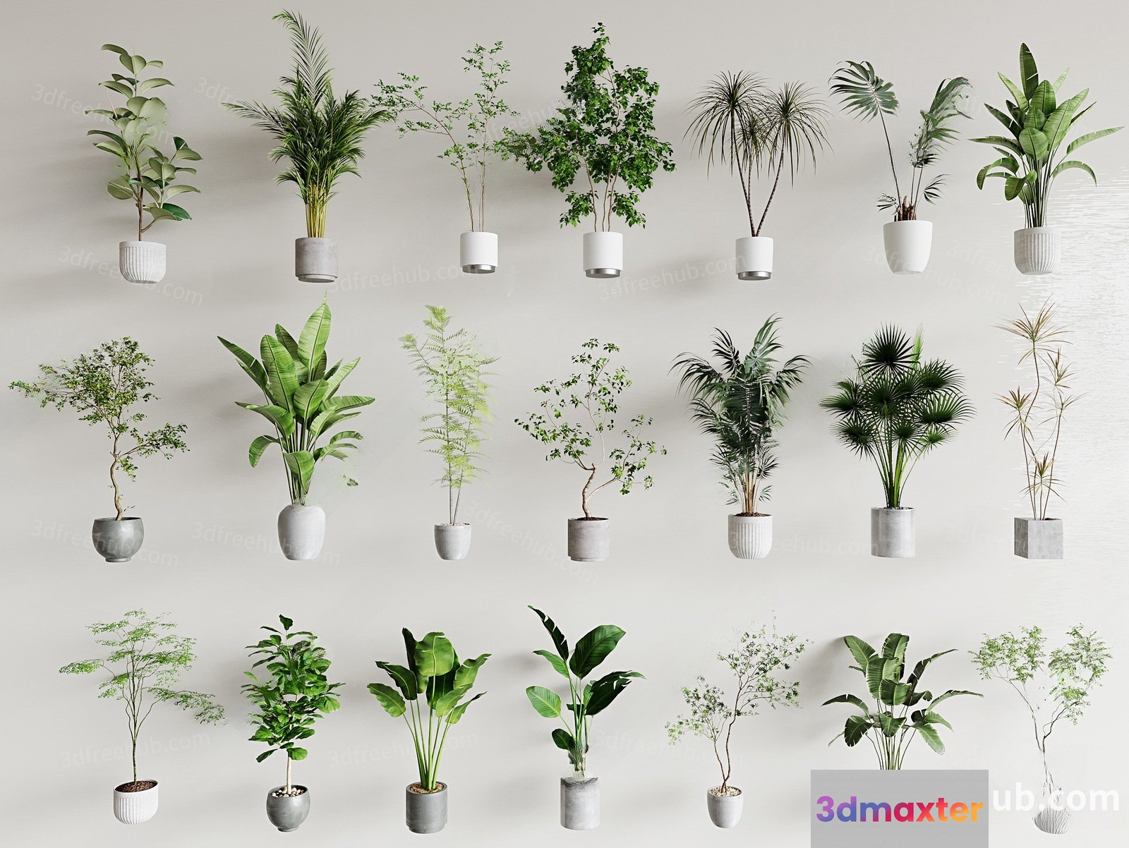 Potted Plants 3D Model - 14183 - VRAY Render