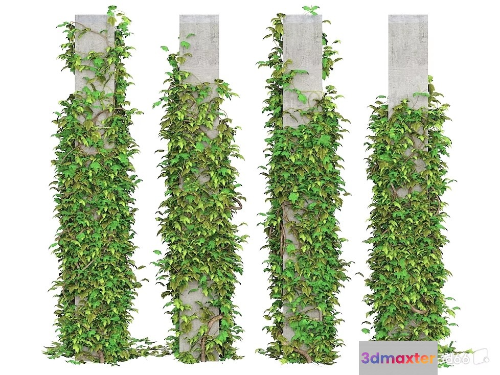 A Stone Pillar Covered In Green Ivy 3D Model - 20329 - VRAY Render