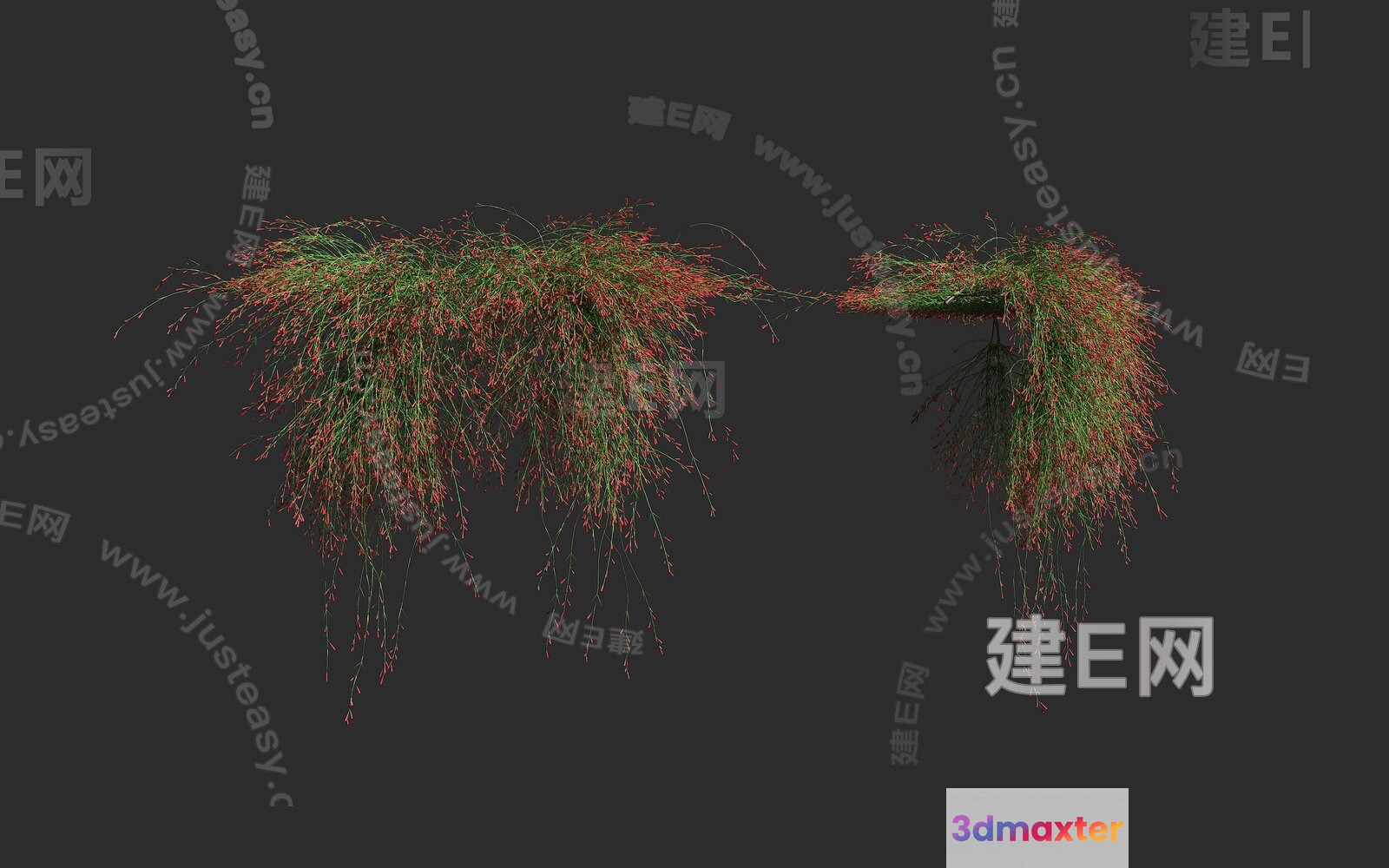 A Grassy Plant With Red And Green Leaves 3D Model - 15716 - VRAY Render