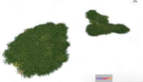 Green Grass 3D Model - 3321 - VRAY Render