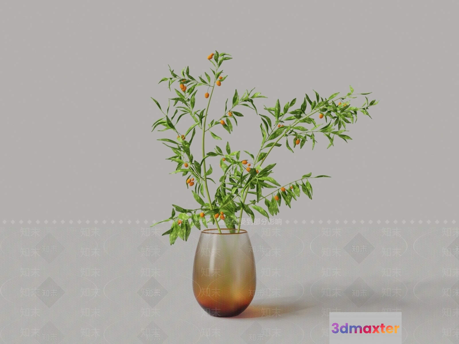 A Glass Vase With Green And Orange Plant Stems 3D Model - 1970 - VRAY Render