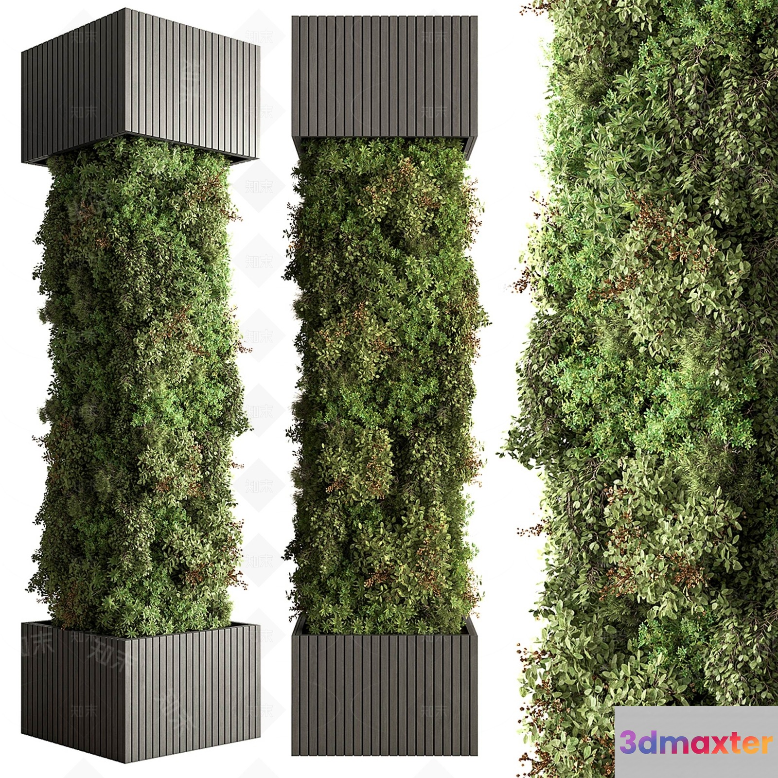 A Vertical Garden In A Planter 3D Model - 14304 - VRAY Render