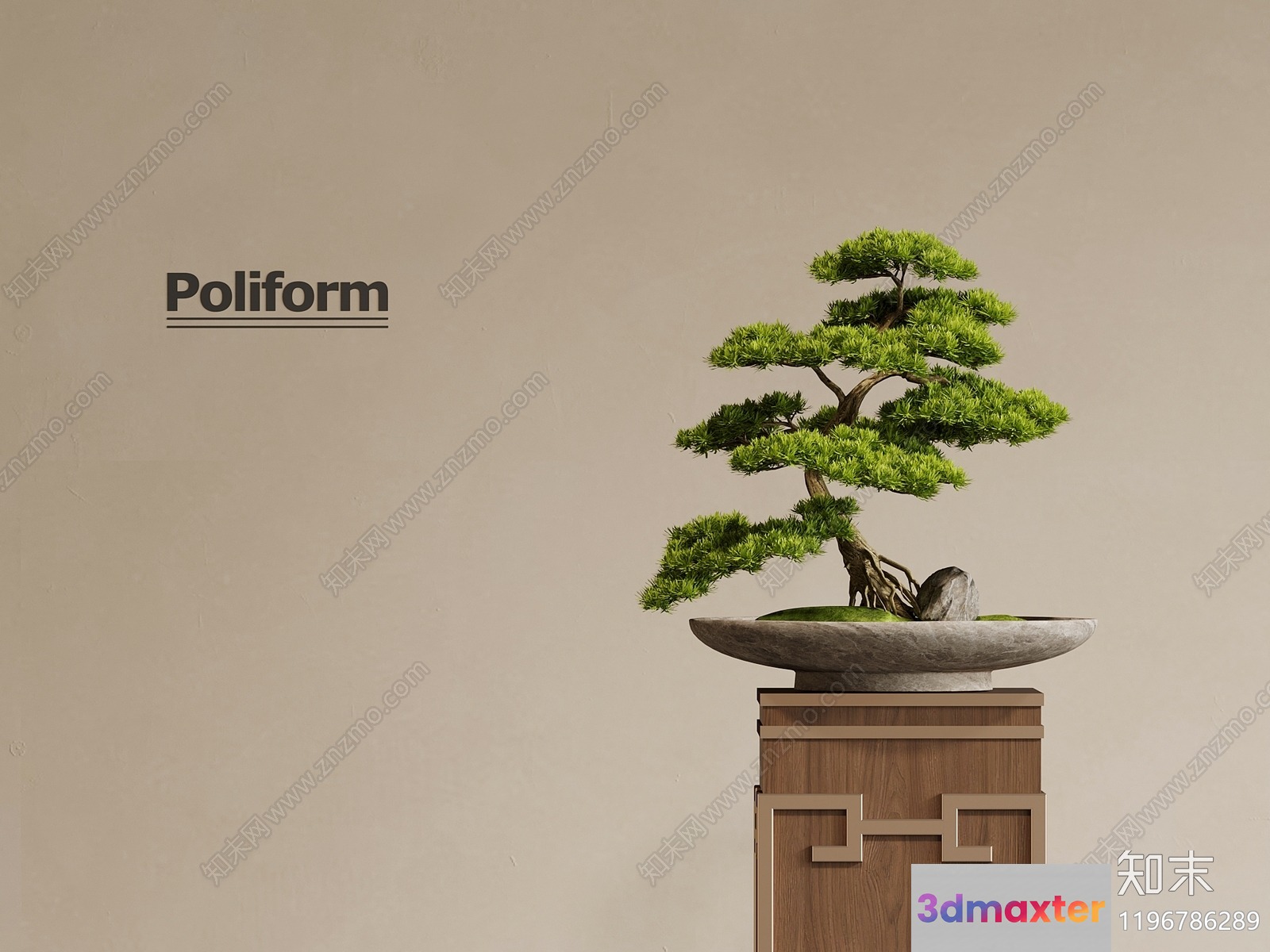 A Bonsai Tree In A Stone Pot 3D Model - 5073 - VRAY Render