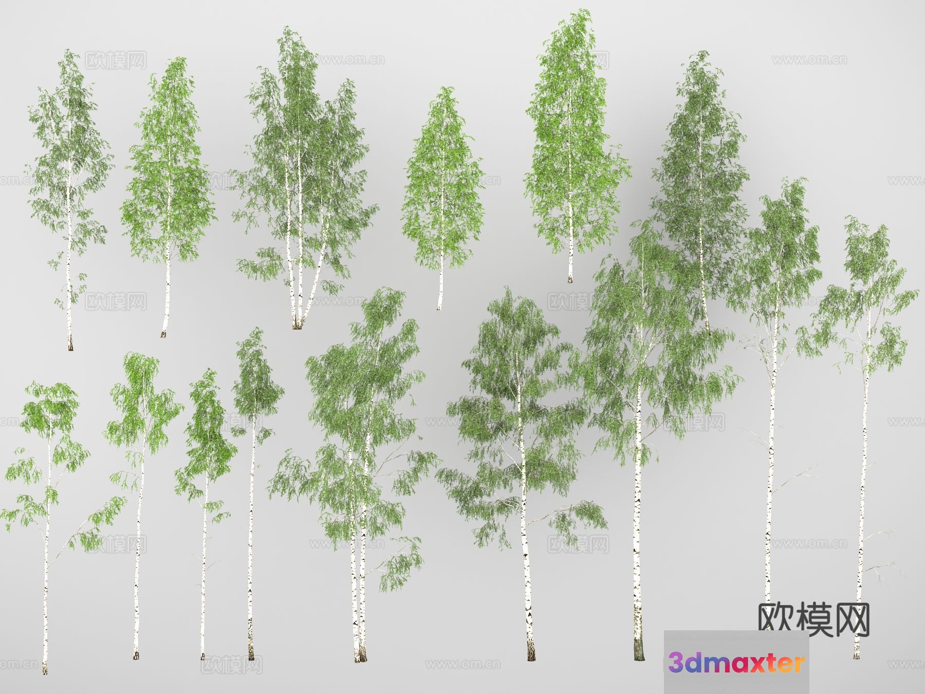A Collection Of Trees 3D Model - 15701 - VRAY Render