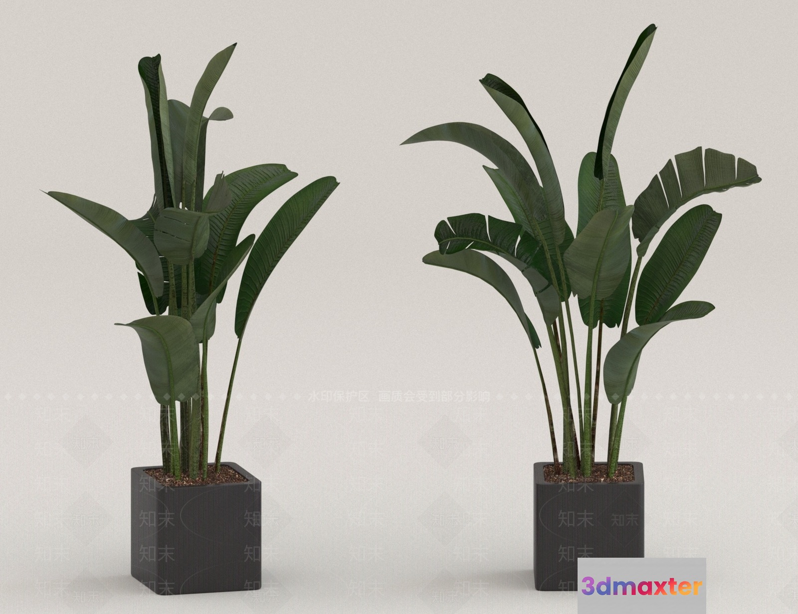 Two Potted Plants 3D Model - 18148 - VRAY Render