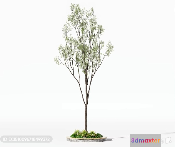 A Tree With Green Leaves 3D Model - 3062 - VRAY Render