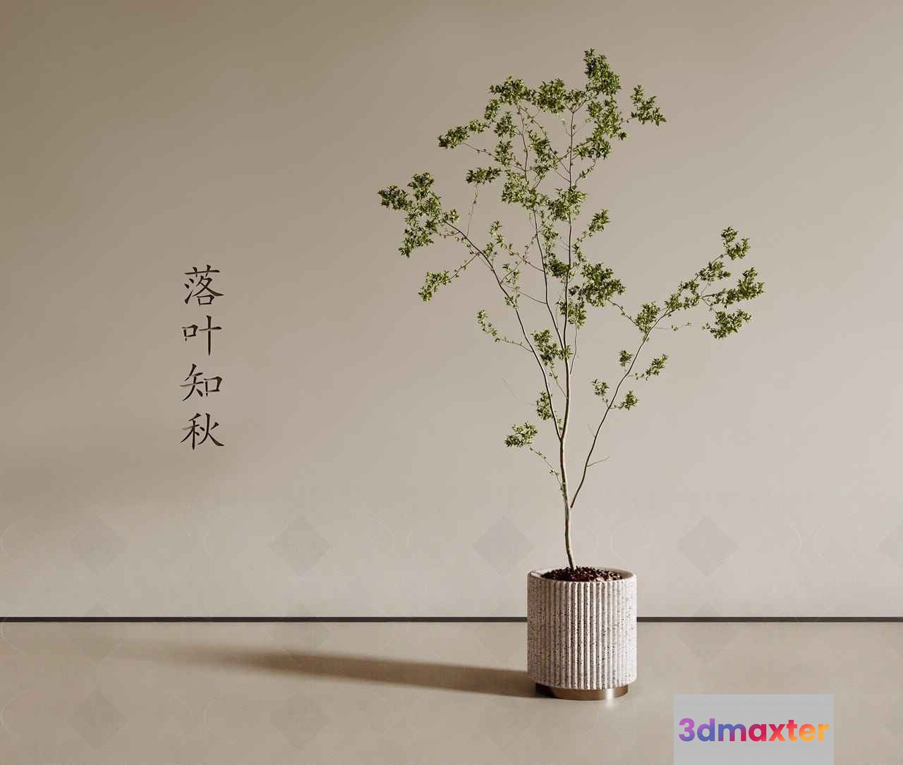 A Small Tree In A Pot 3D Model - 22762 - VRAY Render