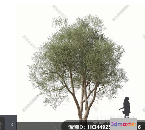 A Tree 3D Model - 18213 - VRAY Render