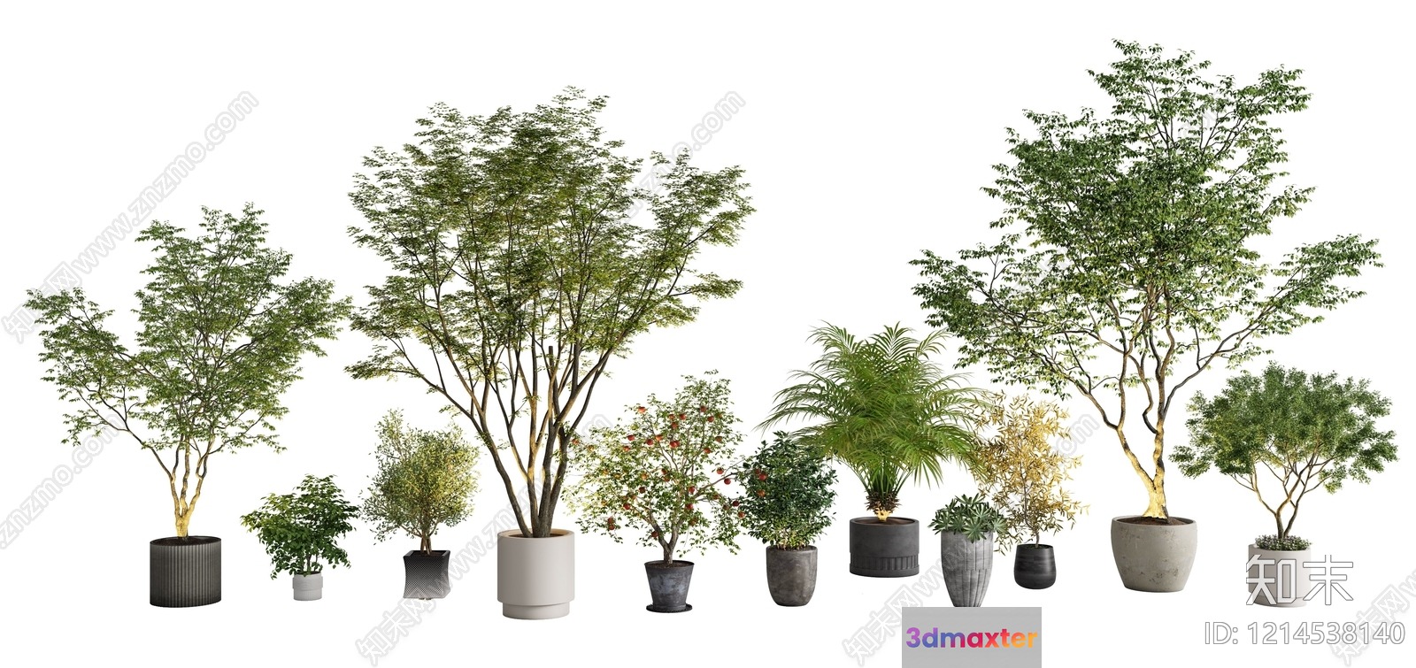 Potted Plants 3D Model - 10630 - VRAY Render