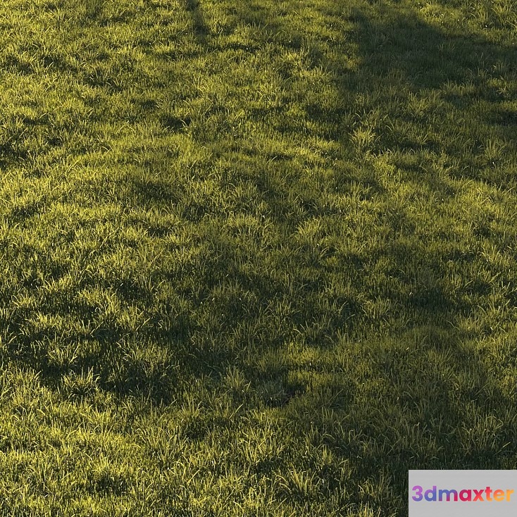 A Grassy Field 3D Model - 20327 - VRAY Render