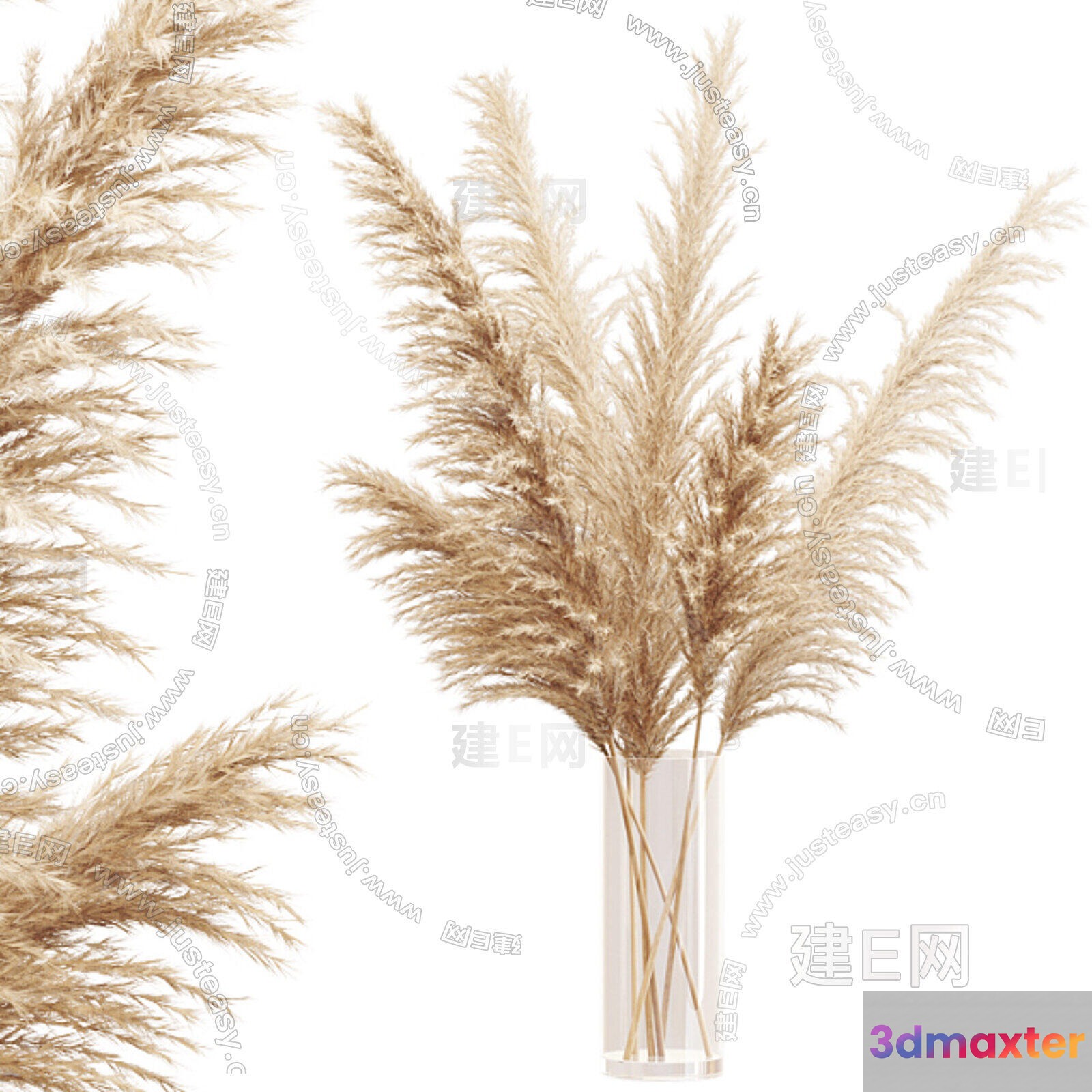 Pampas Grass In A Vase 3D Model - 18798 - CORONA Render