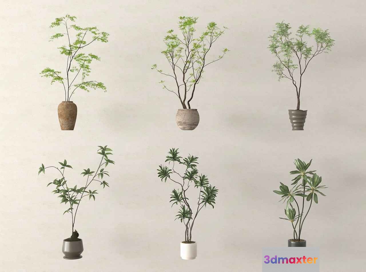Potted Plants 3D Model - 13994 - VRAY Render