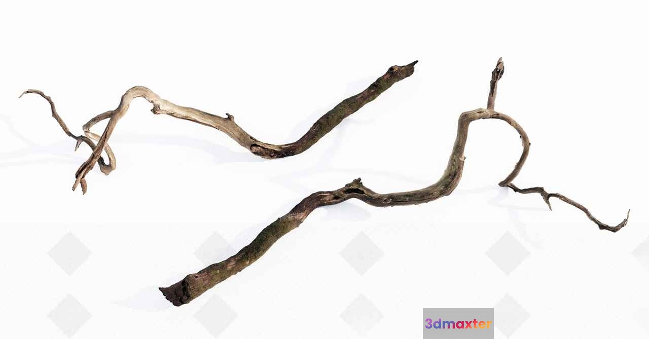 A Piece Of Driftwood 3D Model - 7752 - VRAY Render