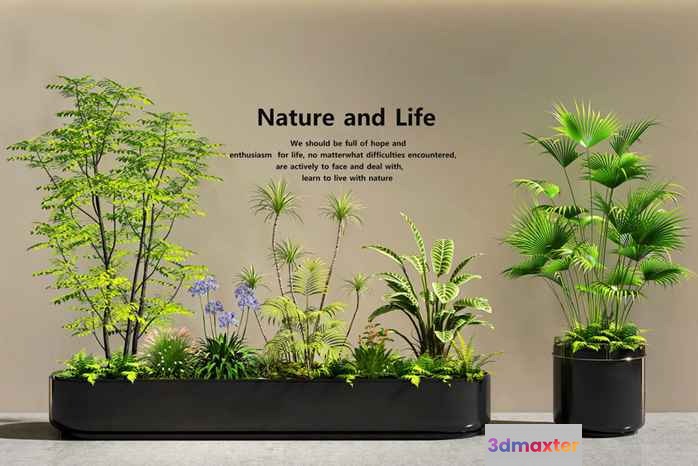 Plants In Planters 3D Model - 1234 - VRAY Render
