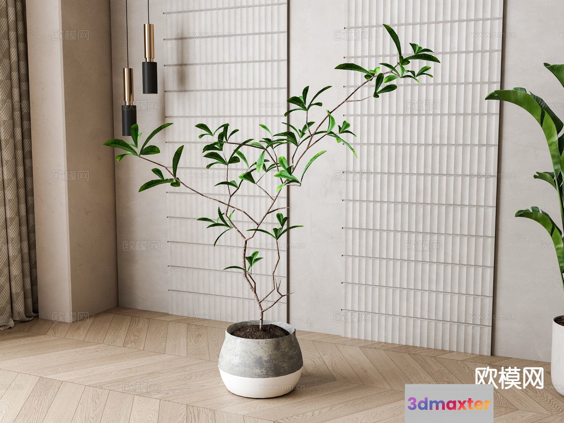 A Plant In A Pot 3D Model - 18815 - VRAY Render