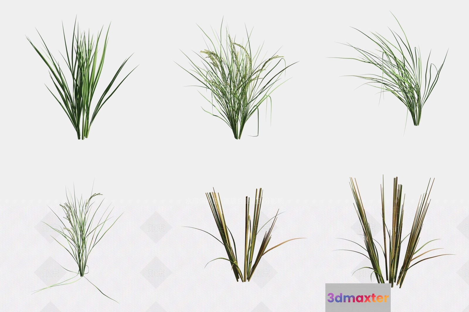 The Main Subject Is A Collection Of Grass 3D Model - 13704 - VRAY Render