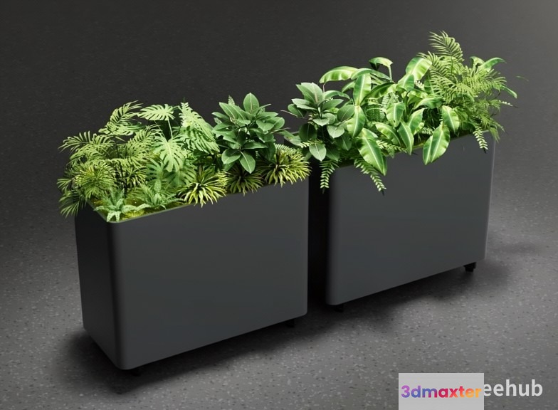 Modern Planters With Plants 3D Model - 21801 - VRAY Render
