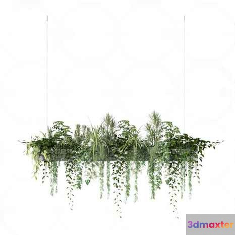 A Hanging Plant Arrangement 3D Model - 23706 - VRAY Render