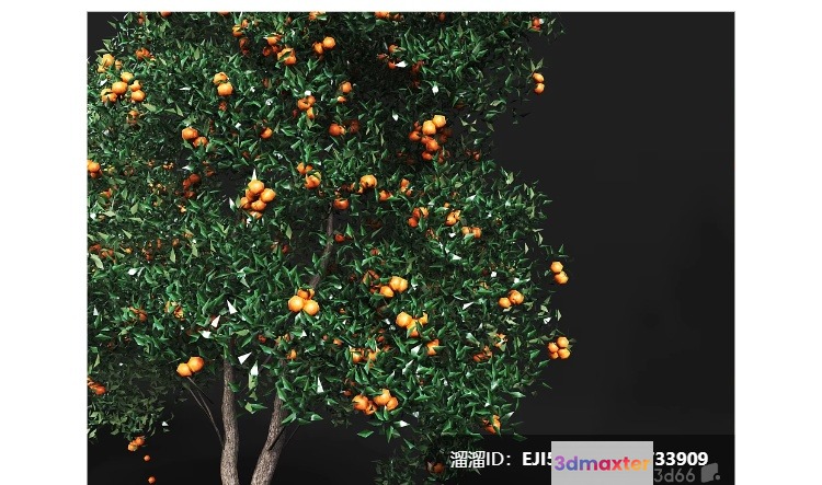 A Tree With Orange Fruit 3D Model - 8566 - VRAY Render