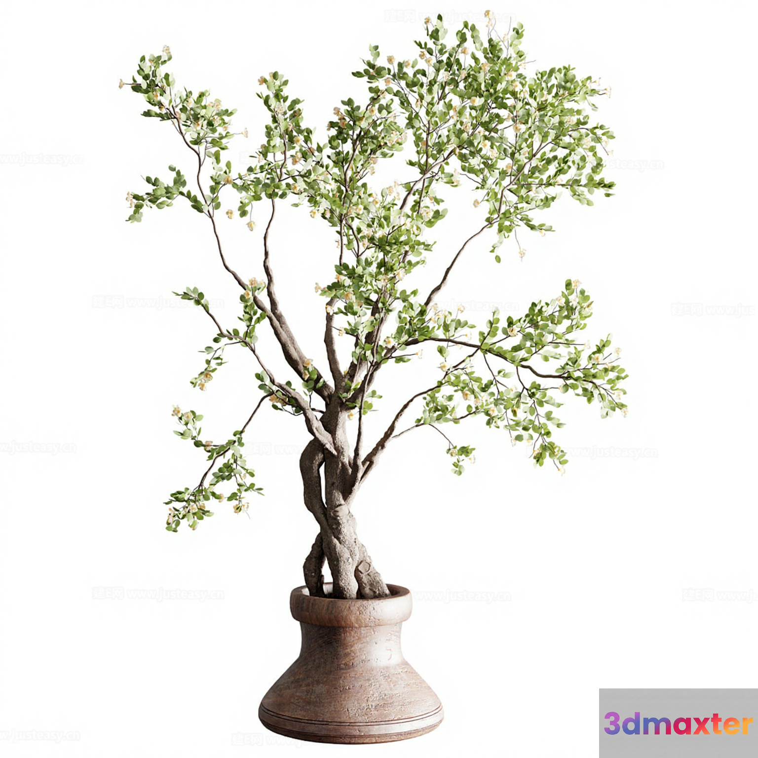 A Potted Plant 3D Model - 16062 - VRAY Render