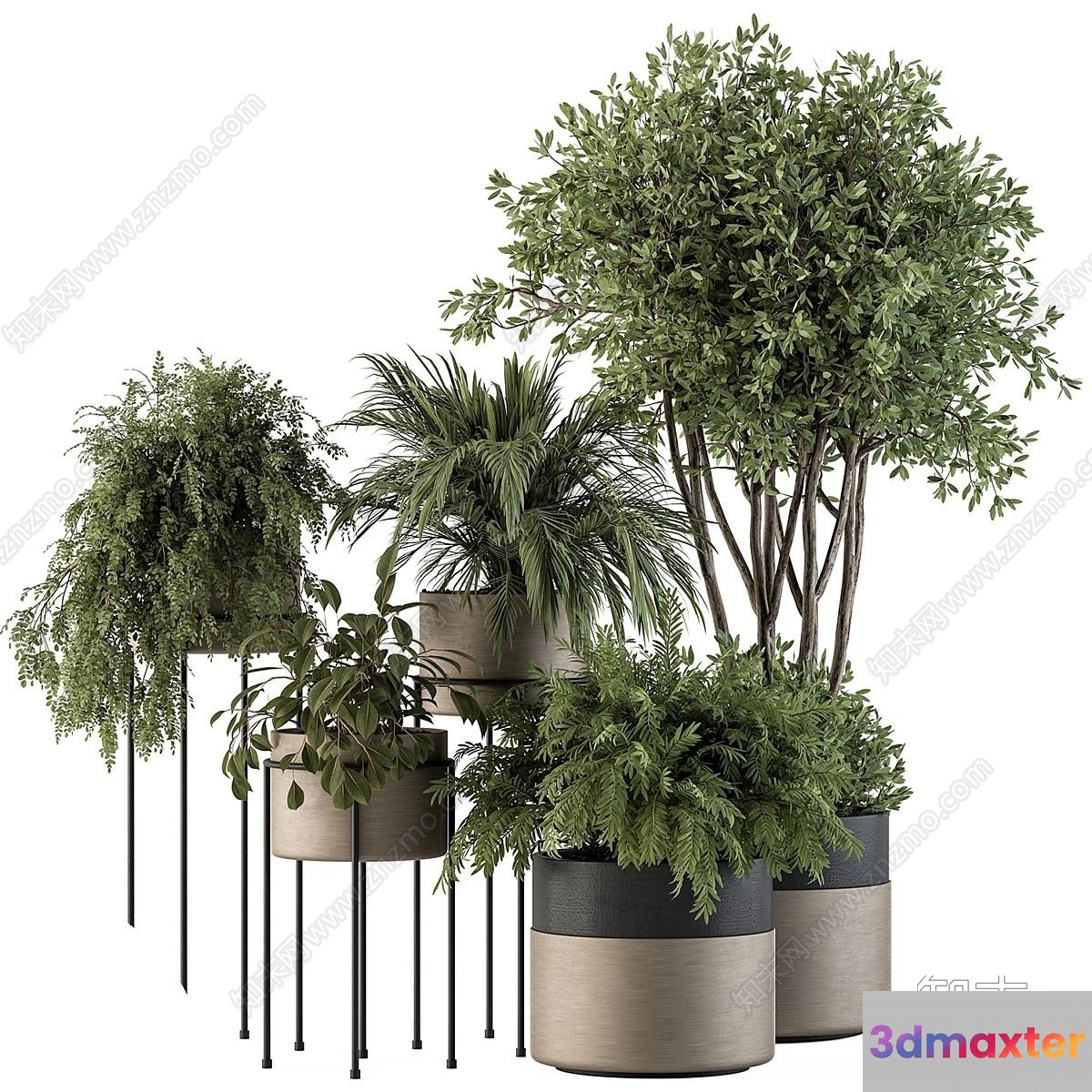 Greenery In Planters 3D Model - 9839 - VRAY Render