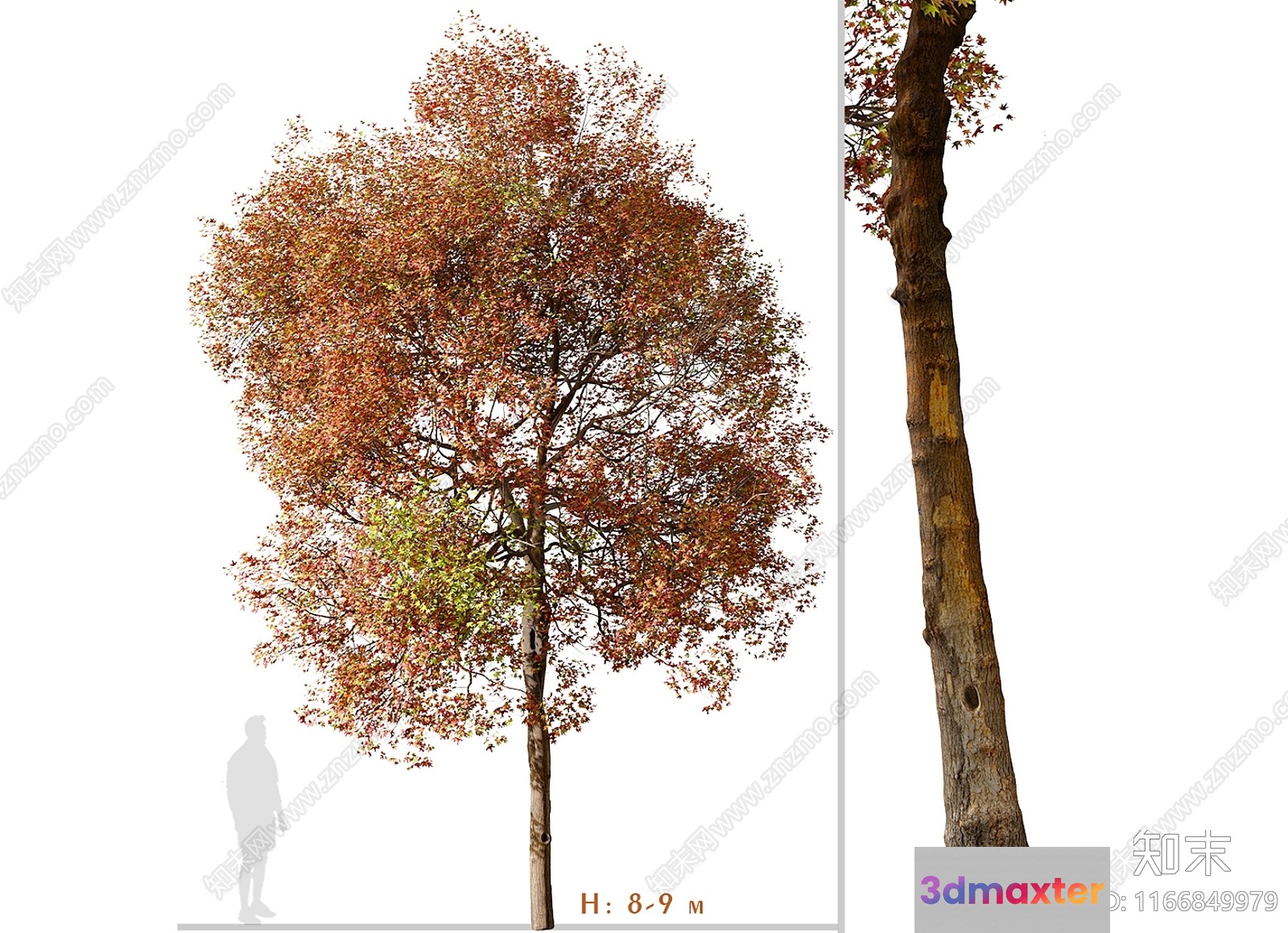 A Tree With A Brown Trunk 3D Model - 8770 - VRAY Render