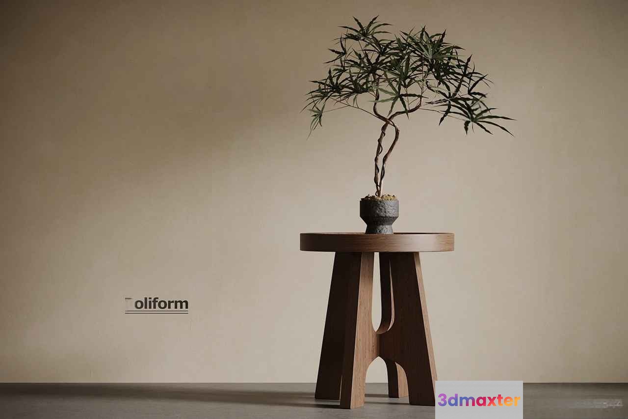 A Small Plant On A Stool 3D Model - 359 - VRAY Render