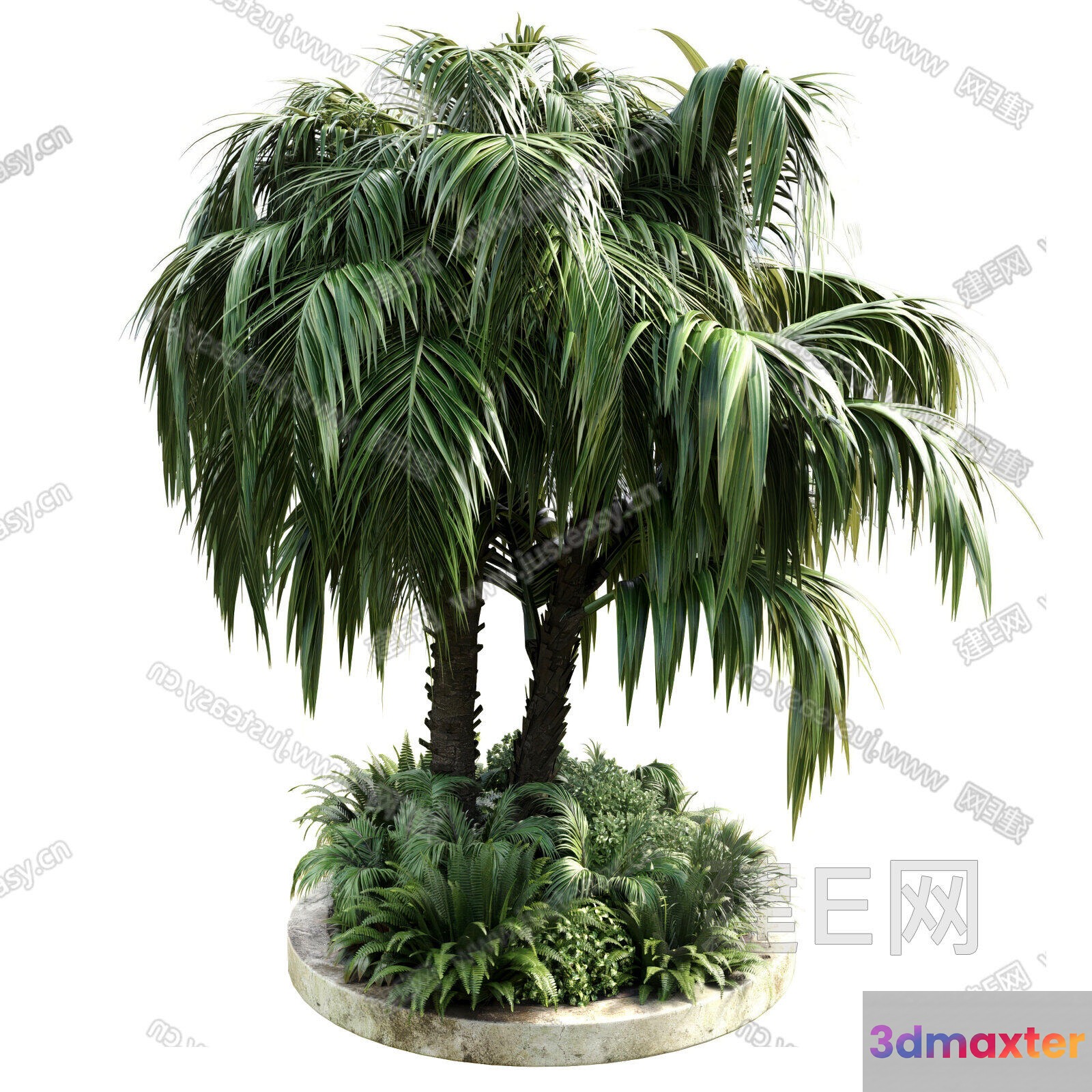 A Palm Tree With Green Leaves 3D Model - 23491 - VRAY Render