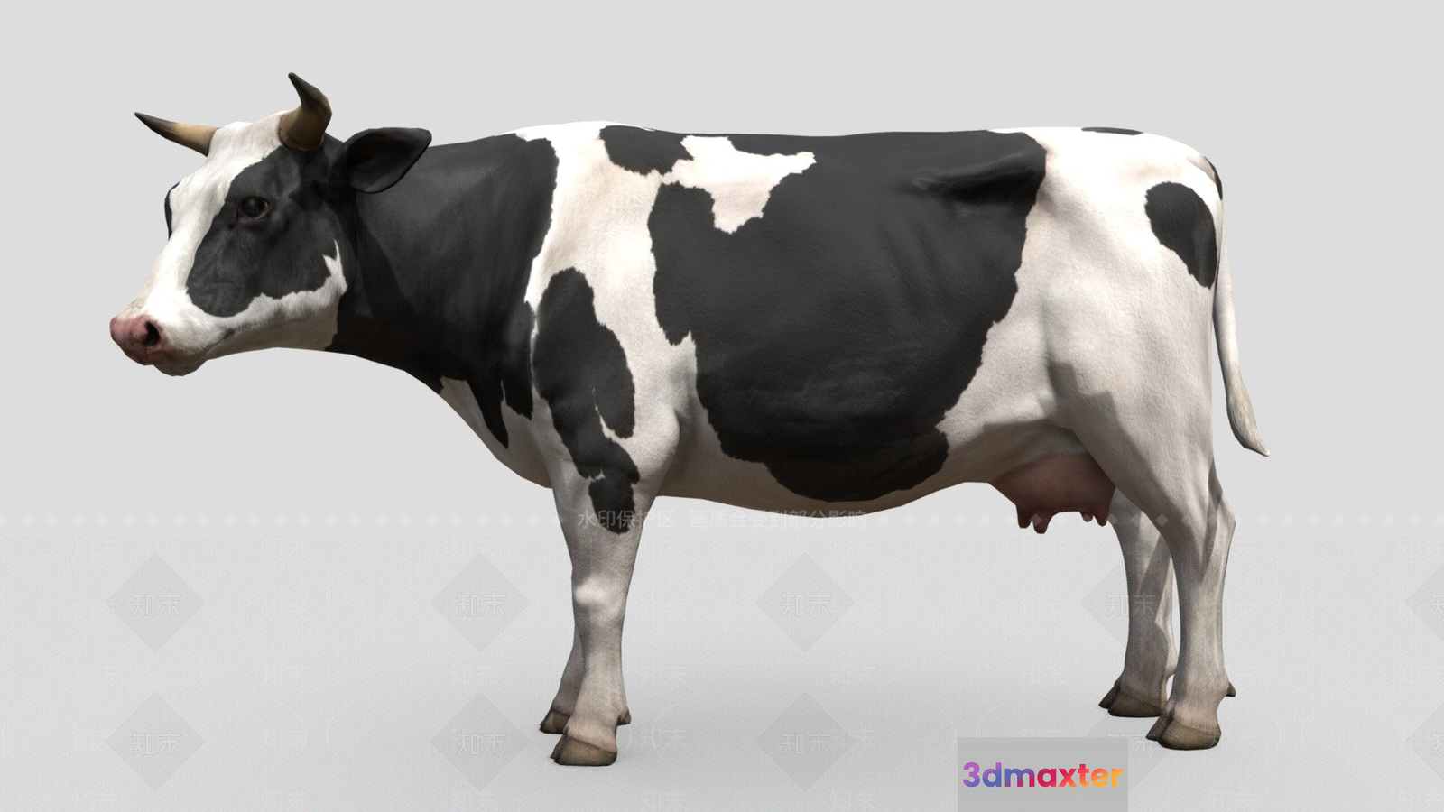 A Cow 3D Model - 16968 - VRAY Render