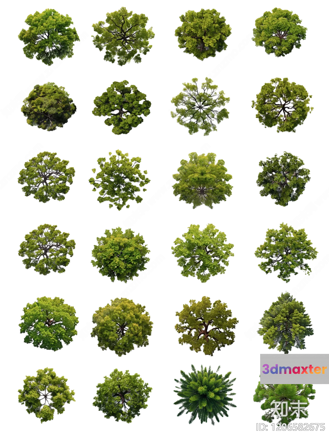 Tree Tops 3D Model - 6355 - VRAY Render