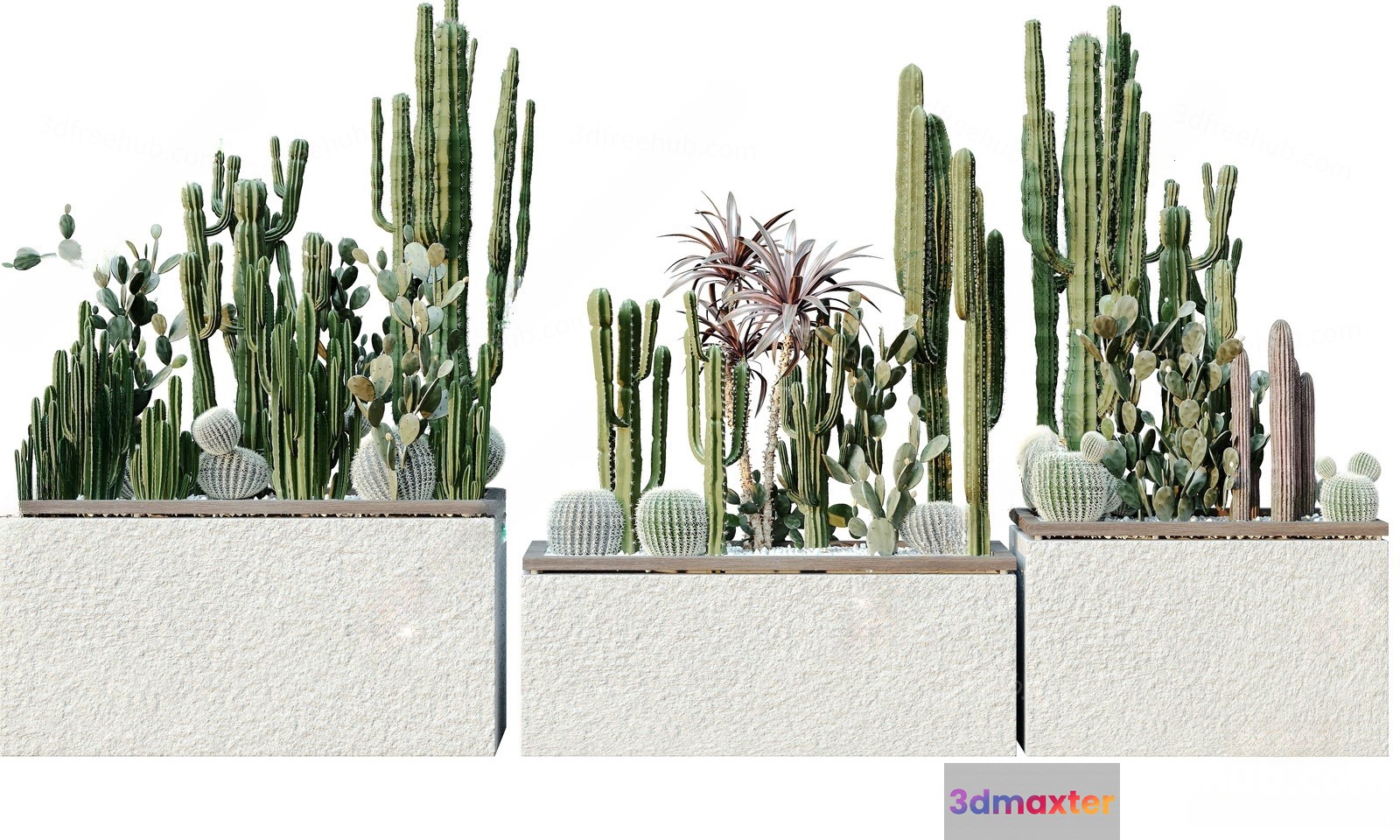 Three White Planters With Cacti 3D Model - 23198 - VRAY Render