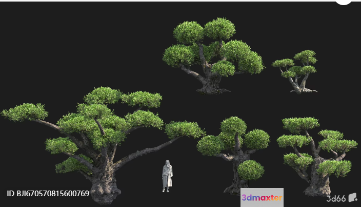 A Tree With A Person Standing Next To It 3D Model - 3359 - VRAY Render