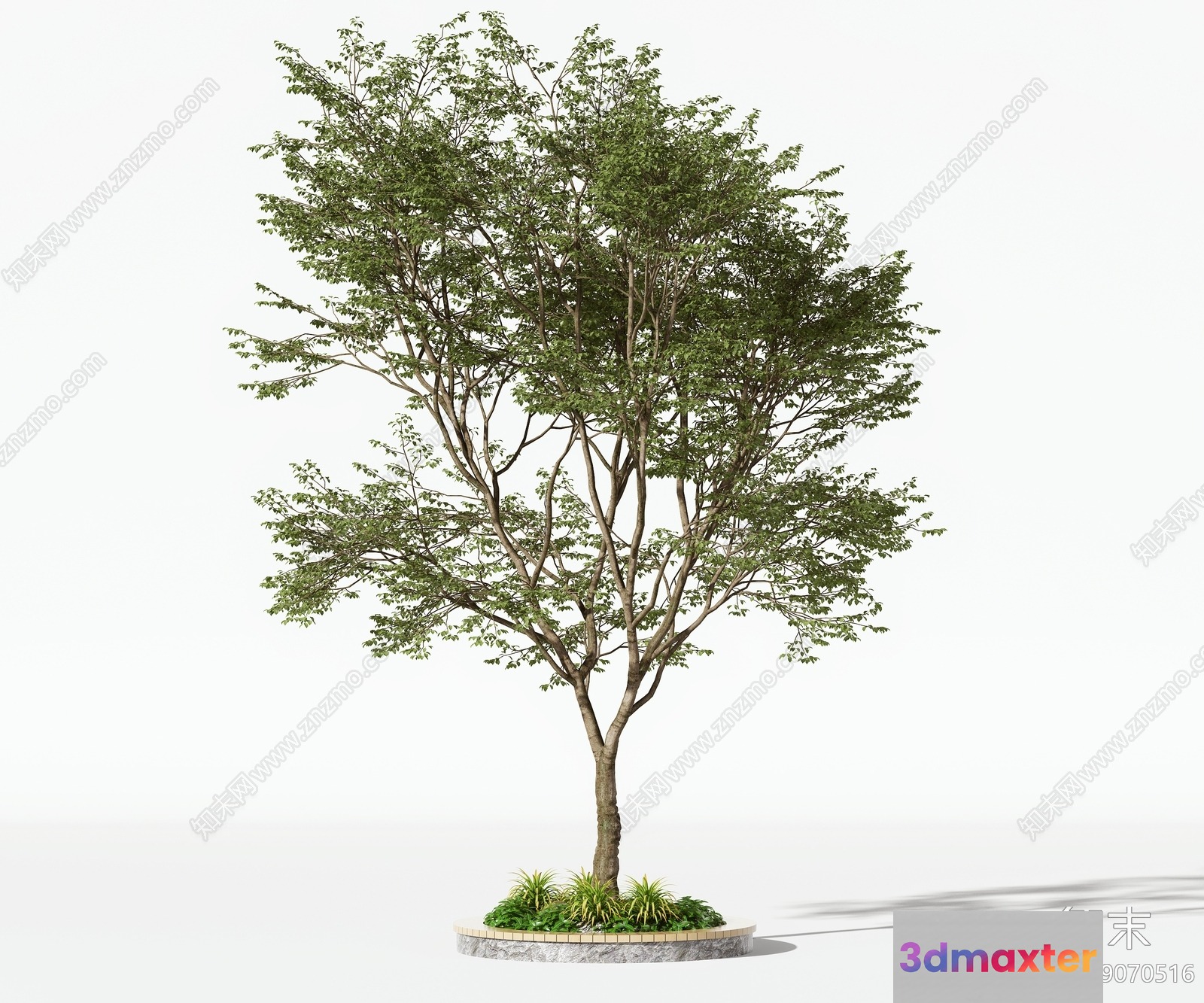 A Tree With Green Leaves 3D Model - 11513 - VRAY Render