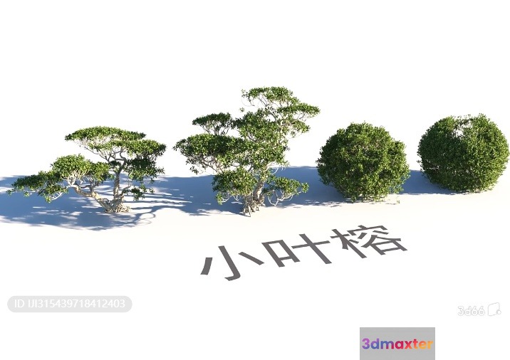 A Serene Landscape Featuring Three Trees And A Chinese Character Ev 3D Model - 16326 - VRAY Render