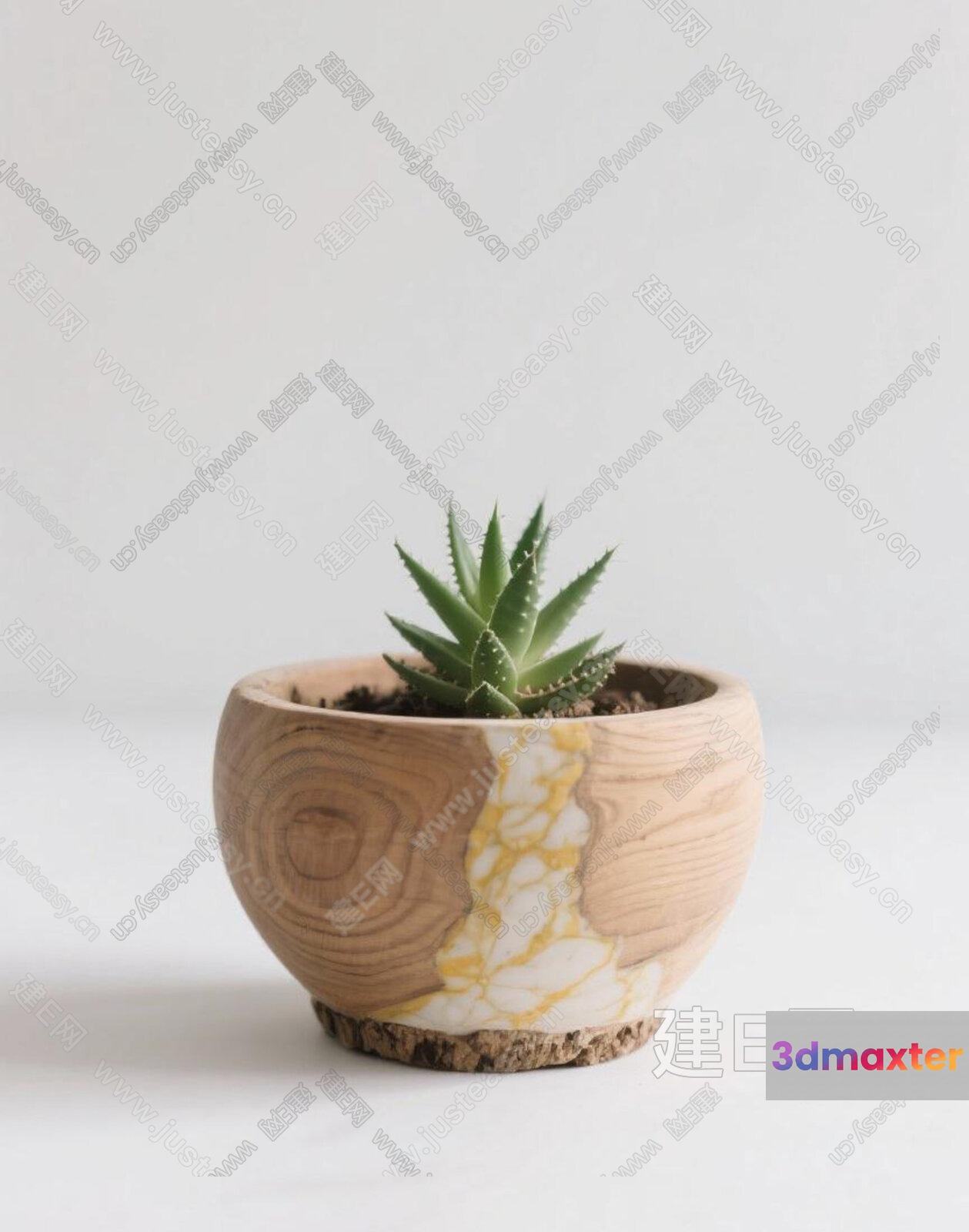 A Small Succulent Plant In A Wooden Pot 3D Model - 562 - VRAY Render