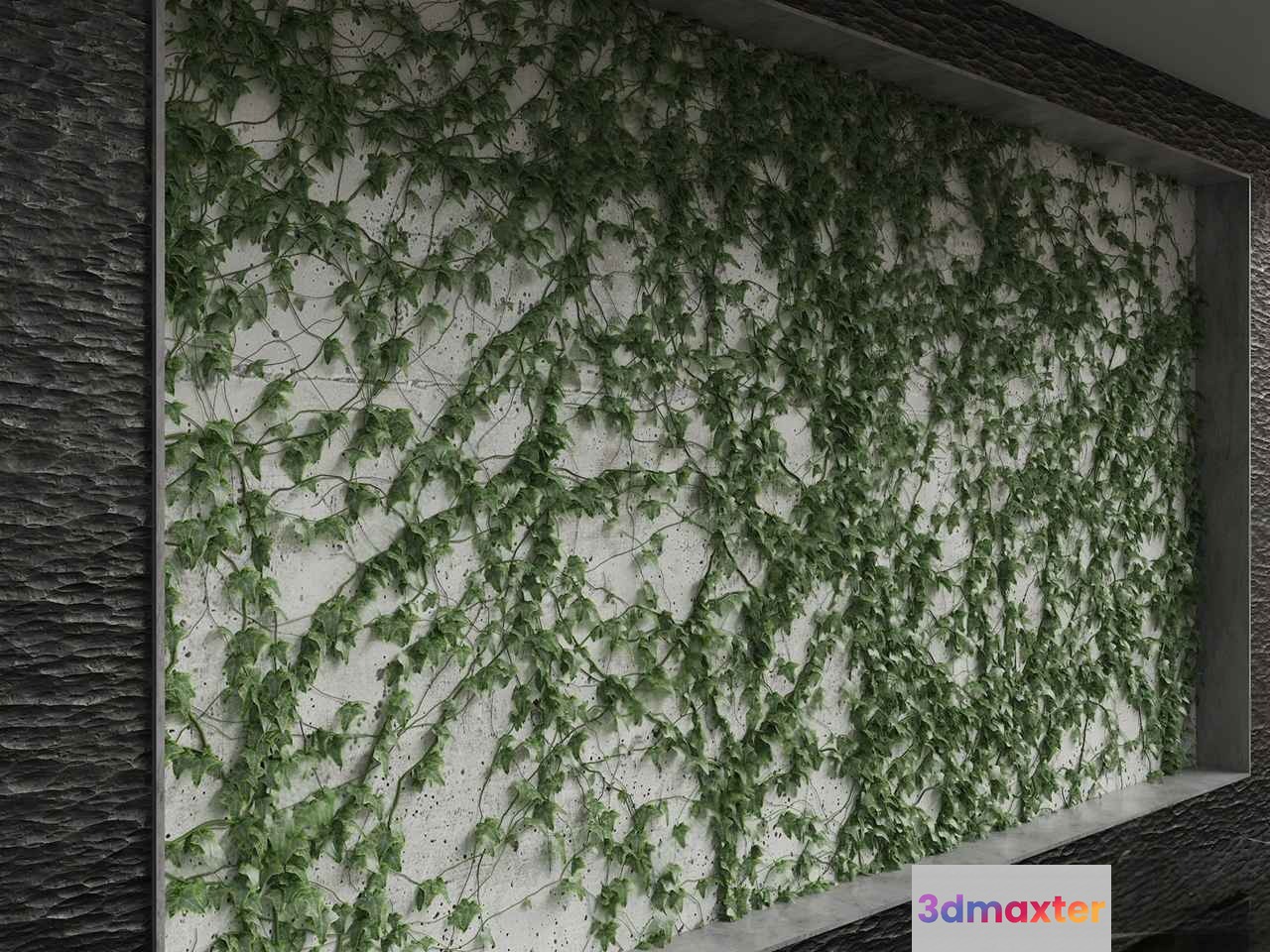 The Main Subject Is A Wall Covered In Green Ivy 3D Model - 10797 - VRAY Render
