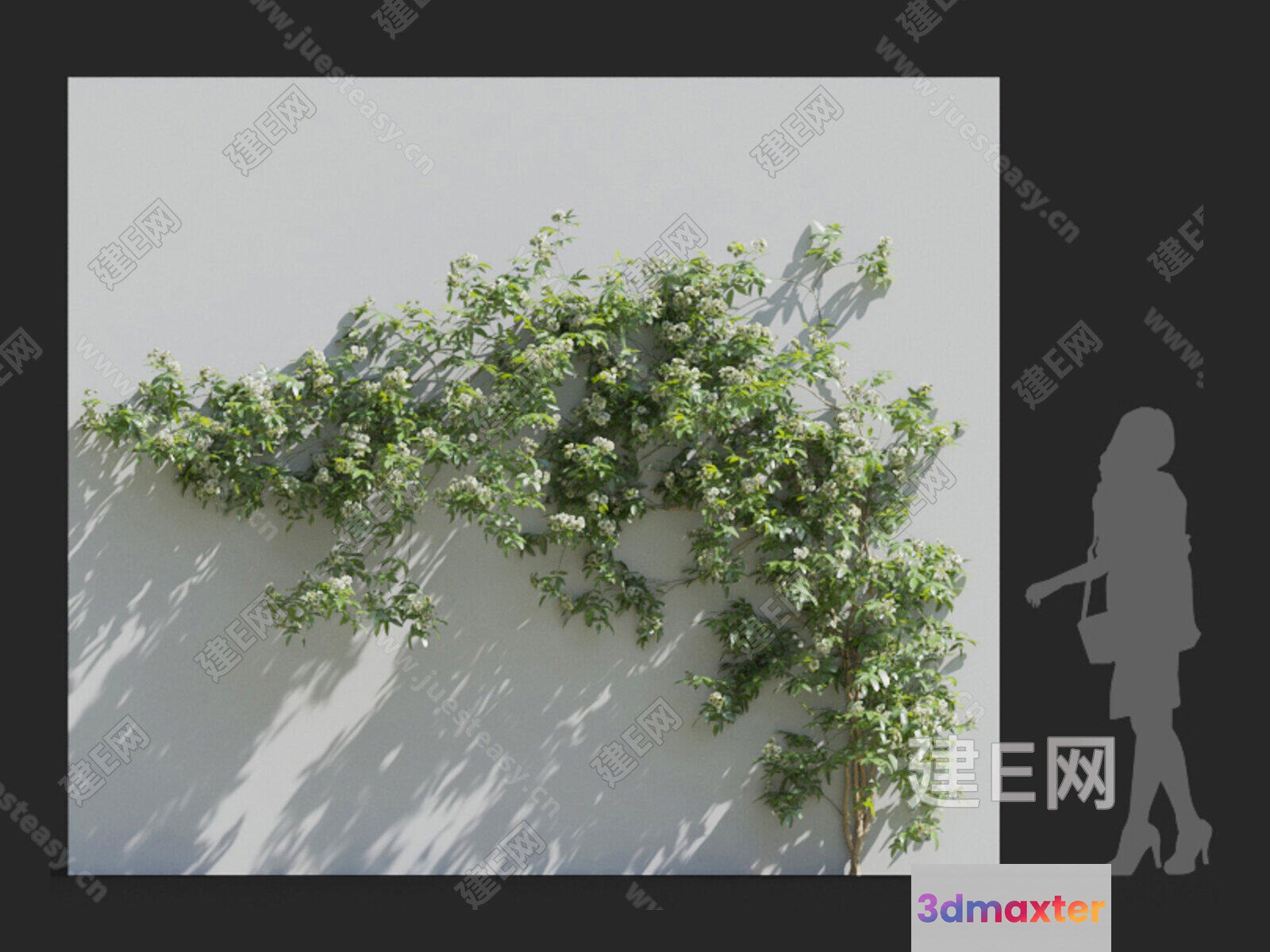 A Woman Walking 3D Model - 12975 - VRAY Render
