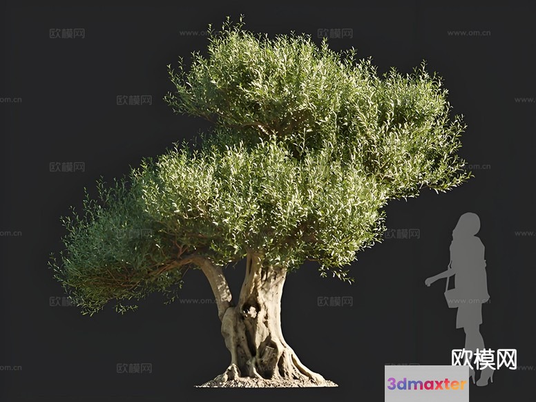 A Tree With A Woman 3D Model - 16459 - CORONA Render