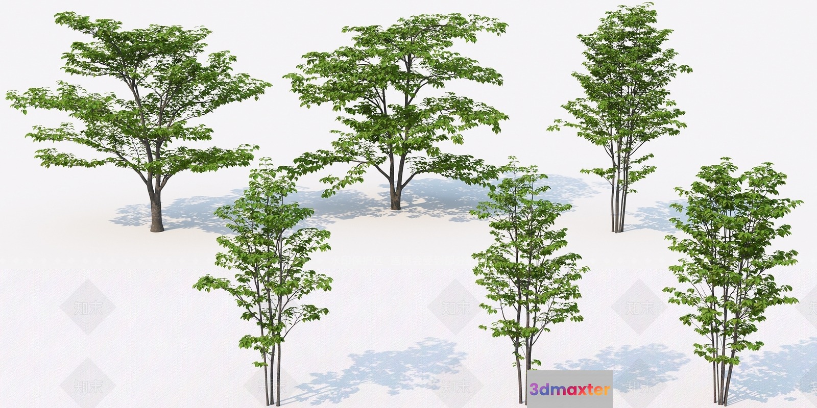 Trees With Green Leaves 3D Model - 13788 - VRAY Render