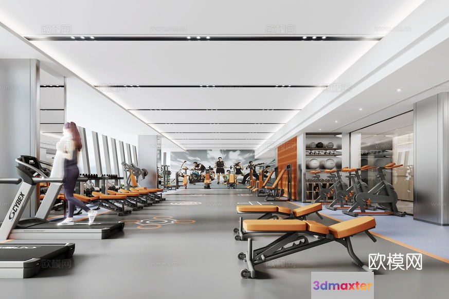 Modern Gym Equipment 3D Model - 8967 - VRAY Render